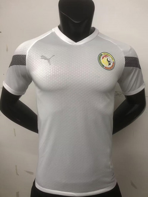 AAA Quality Senegal 22/23 White Training Soccer Jersey(Player)
